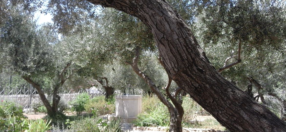 Gethsemane