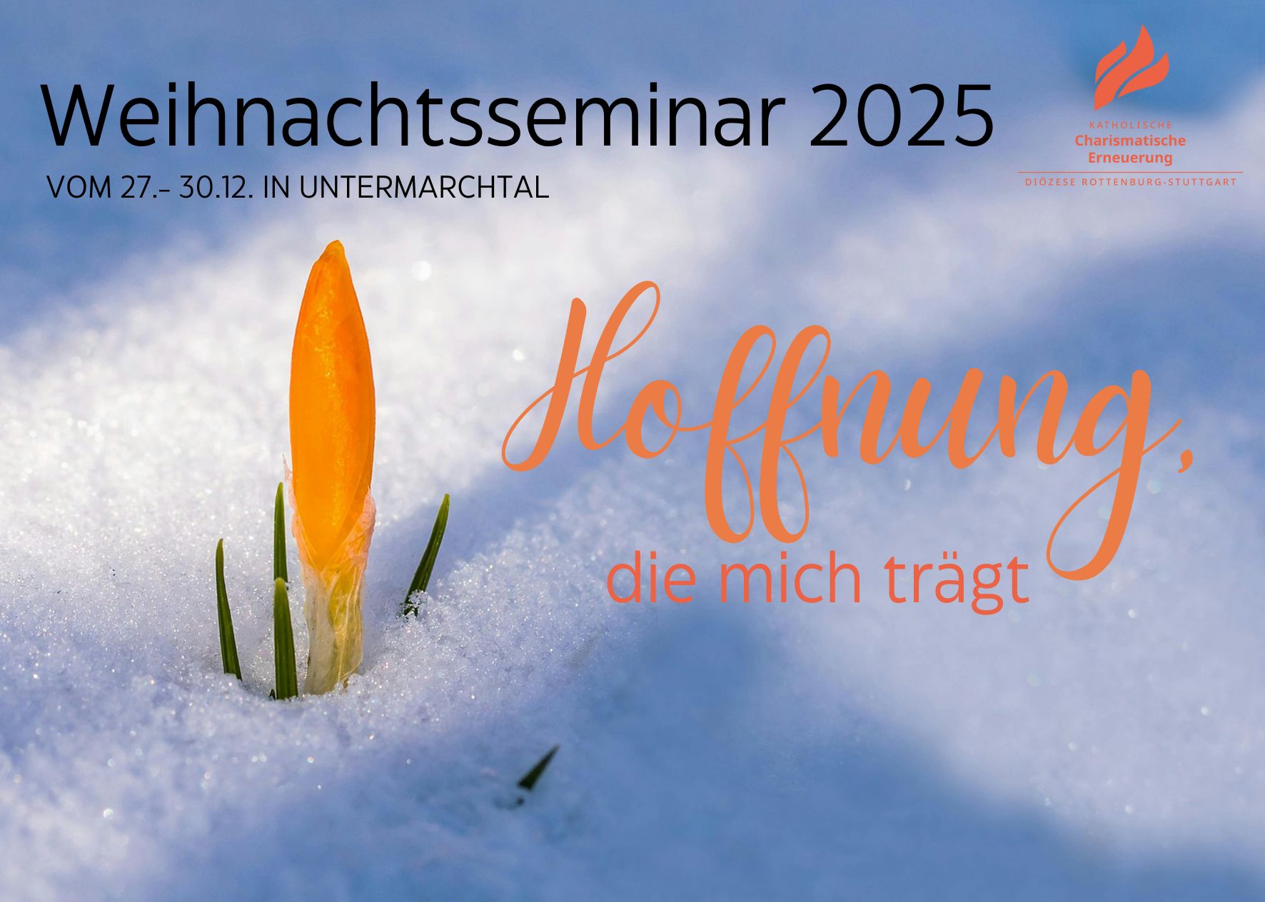 Weihnachtsseminar