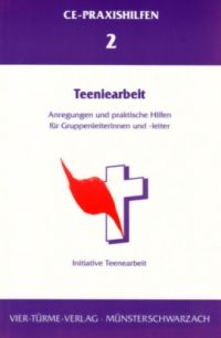 Initiative Teeniearbeit, Teeniearbeit