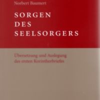 Norbert Baumert, Sorgen des Seelsorgers