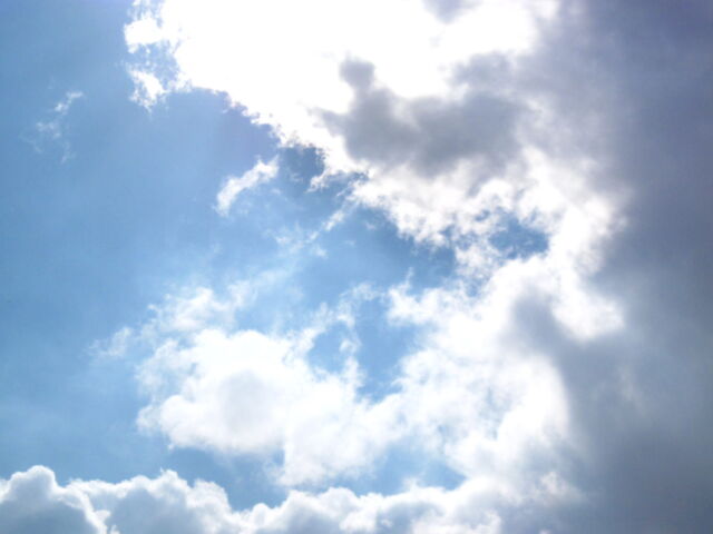 LiGS_0774-