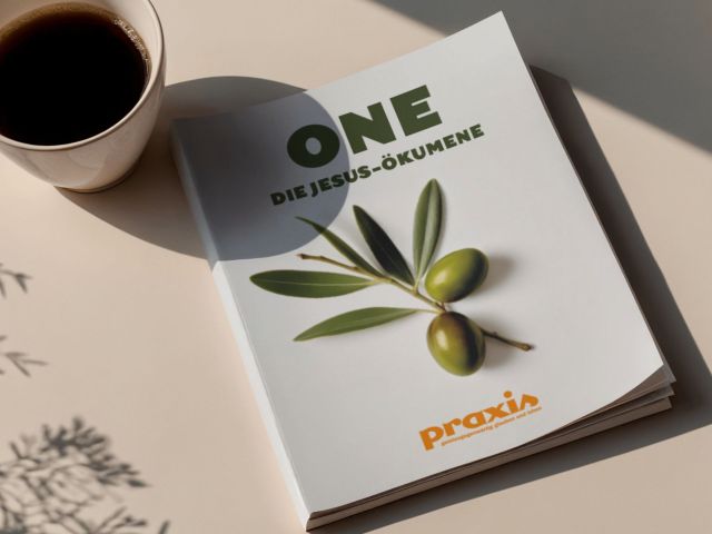 Beitrag Praxis One